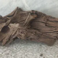 چوب آبنوس