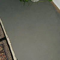 موکت طوسی