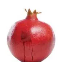حجامت