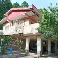اجاره-ویلا-جنگلی
