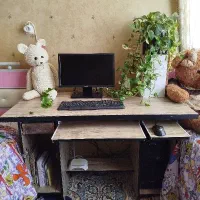 مانیتور و کیس