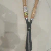 شمشاد زن و شاخه زن برزیلی