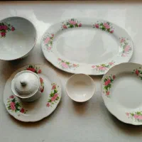 ظروف چینی