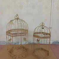قفس عقد عروس طلایی