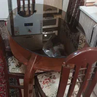 میز ناهار خوری ۶ نفره