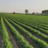 زمین آبی بیله سوار