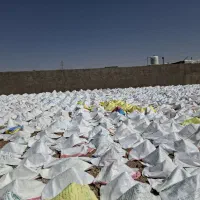 همه مدل گونی نو وکارکرده درهمه سایز آردی شسته