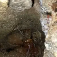 نشت یابی تمام  اصفهان تعمیر درسخت‌ترین شرایط