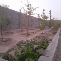 باغ