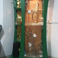 قفس شیک