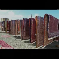 قالی شویی روژهه لات