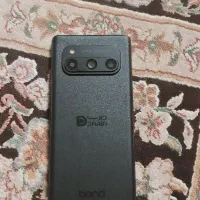 داریا باند