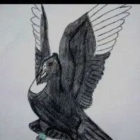طوقی معاوضه ای