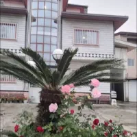 اجاره-روزانه-ویلای-دو-خوابه-تمیز-با-دسترسی-اسان