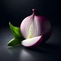 استخدام سرآشپزخانم یاآقاجهت فست فود