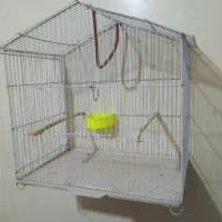 قفس پرنده