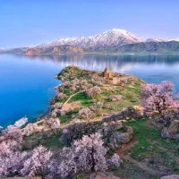 تور وان همه روزه