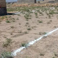 زمین-207-متر-روستای-جنت-آباد
