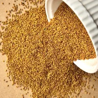 انواع بذر یونجه مناطق سردسیر