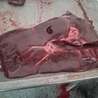 جگر گوساله جوونه