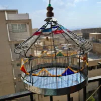 قفس طورقه دستساز