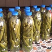 خیار شور خانگی تمیز با طعم و عطر بی نظیر