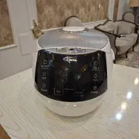 پلوپزو بخارپز لمسی ویکنز نو