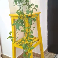 چهار پایه، پایه گلدان