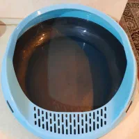 ظرف خاک گربه