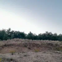 زمین-کشاورزی