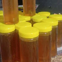 عسل بهاره  کوه های زاگرس