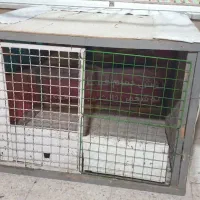 قفس مرغ و خروس