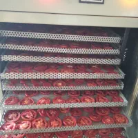 انواع پودریجات خالص وخانگی