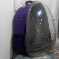 کیف پت و طوطی