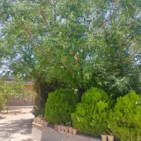 باغ-ویلا-1000متری-با270متر-زیربنا
