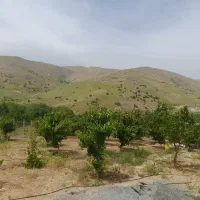فروش باغ ۱۰۰۰ متری