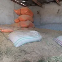 کاه|عمده‌فروشی|لردگان, |دیوار