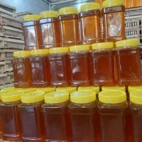 عسل طبیعی اردبیل