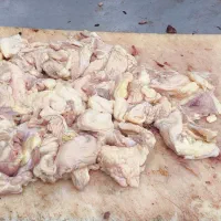 چربی مرغ شمال