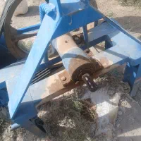 گندم سرداری دیم