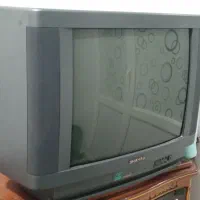 تلویزیون
