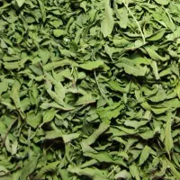 چمن کف تراکم بالا