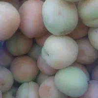 فروشندگی میوه