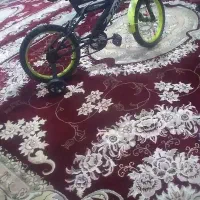 دوچرخه ۱۶ بچگونه