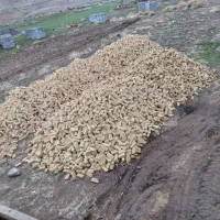 اجر گری ماسه خاک شن