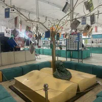 قاب گوشی