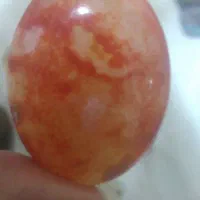 نگین عقیق وشجر
