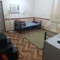 سویت در نخل تقی