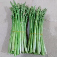 مارچوبه تازه