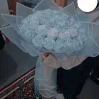 گل روبانی